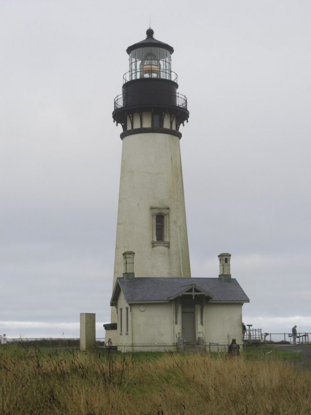 Yaquina Head