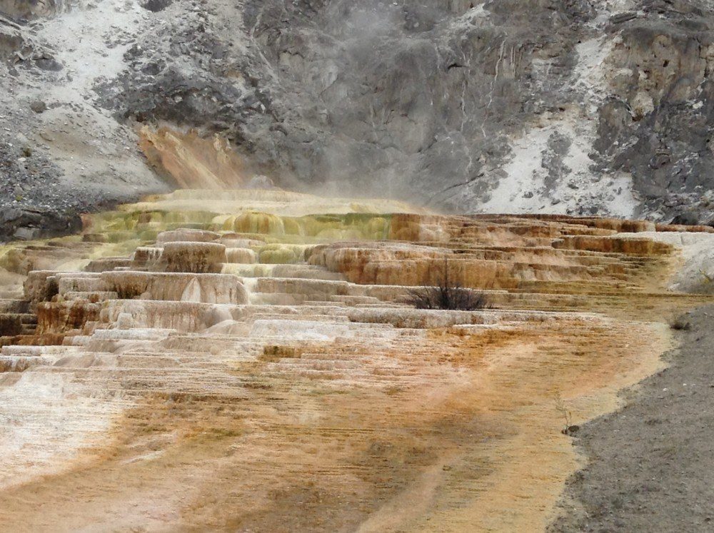 Mammoth Springs