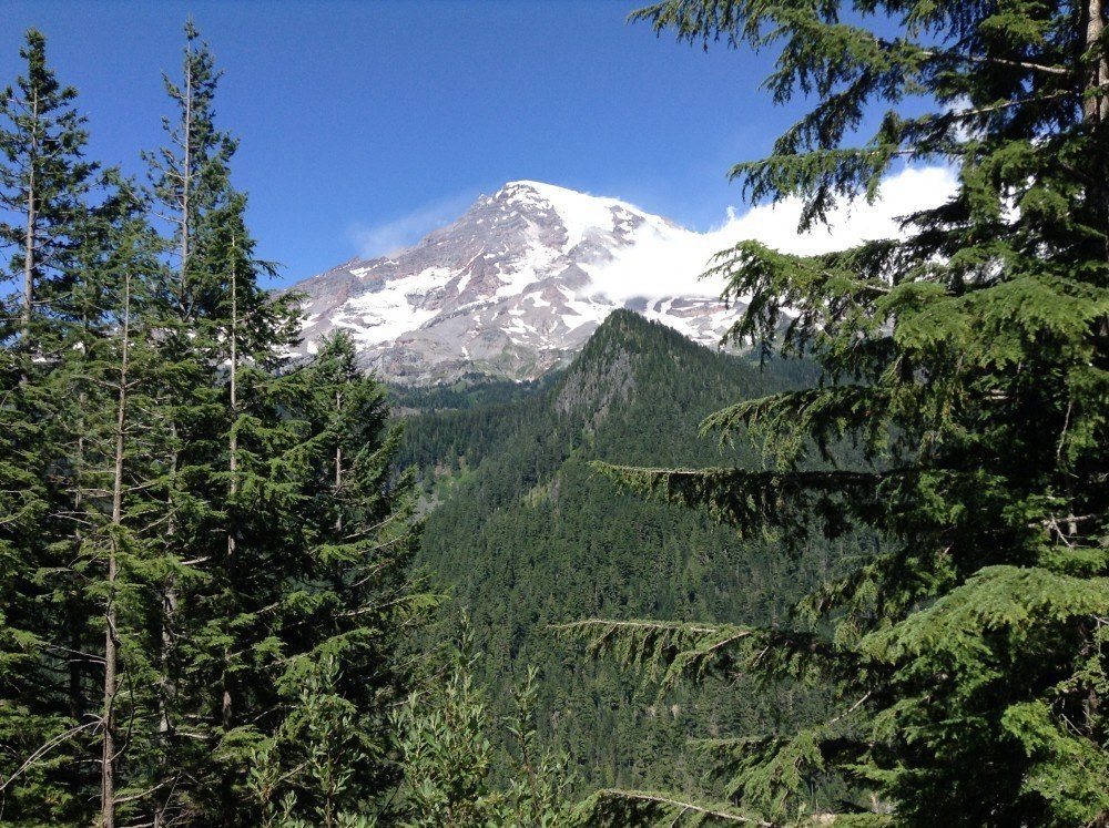 Mt Ranier4