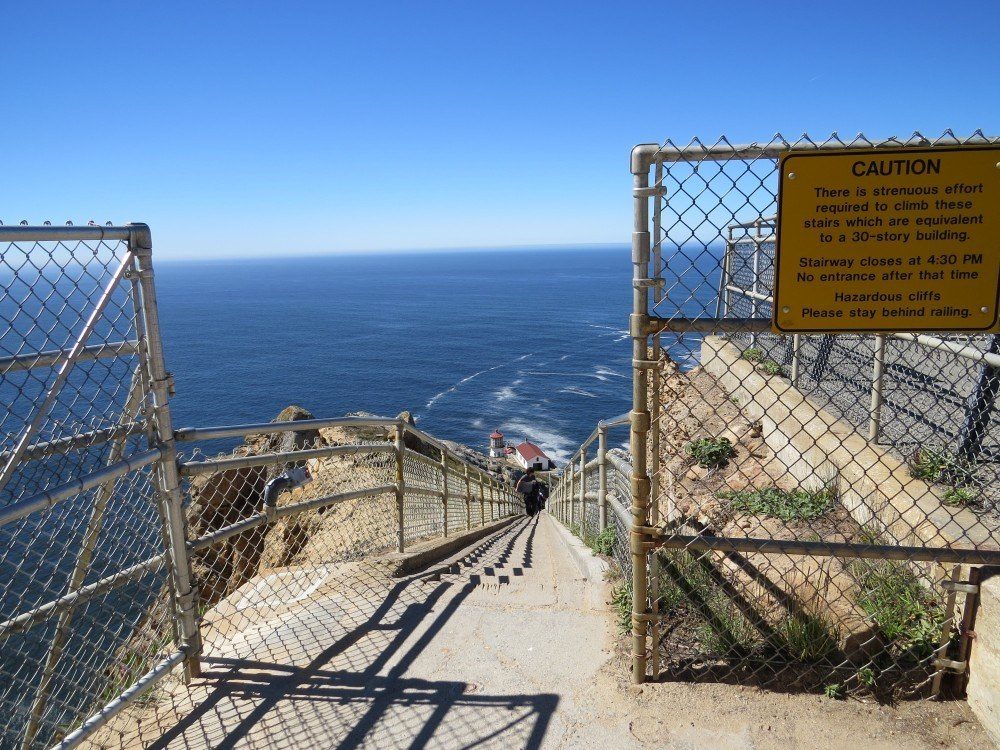 Point Reyes Steps