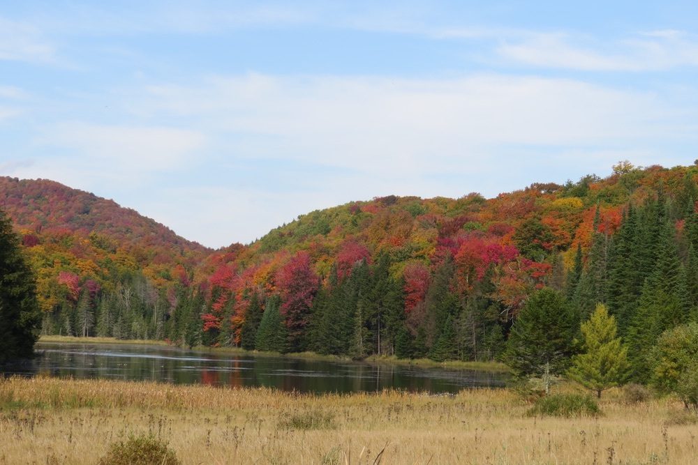 Vermont Pond2